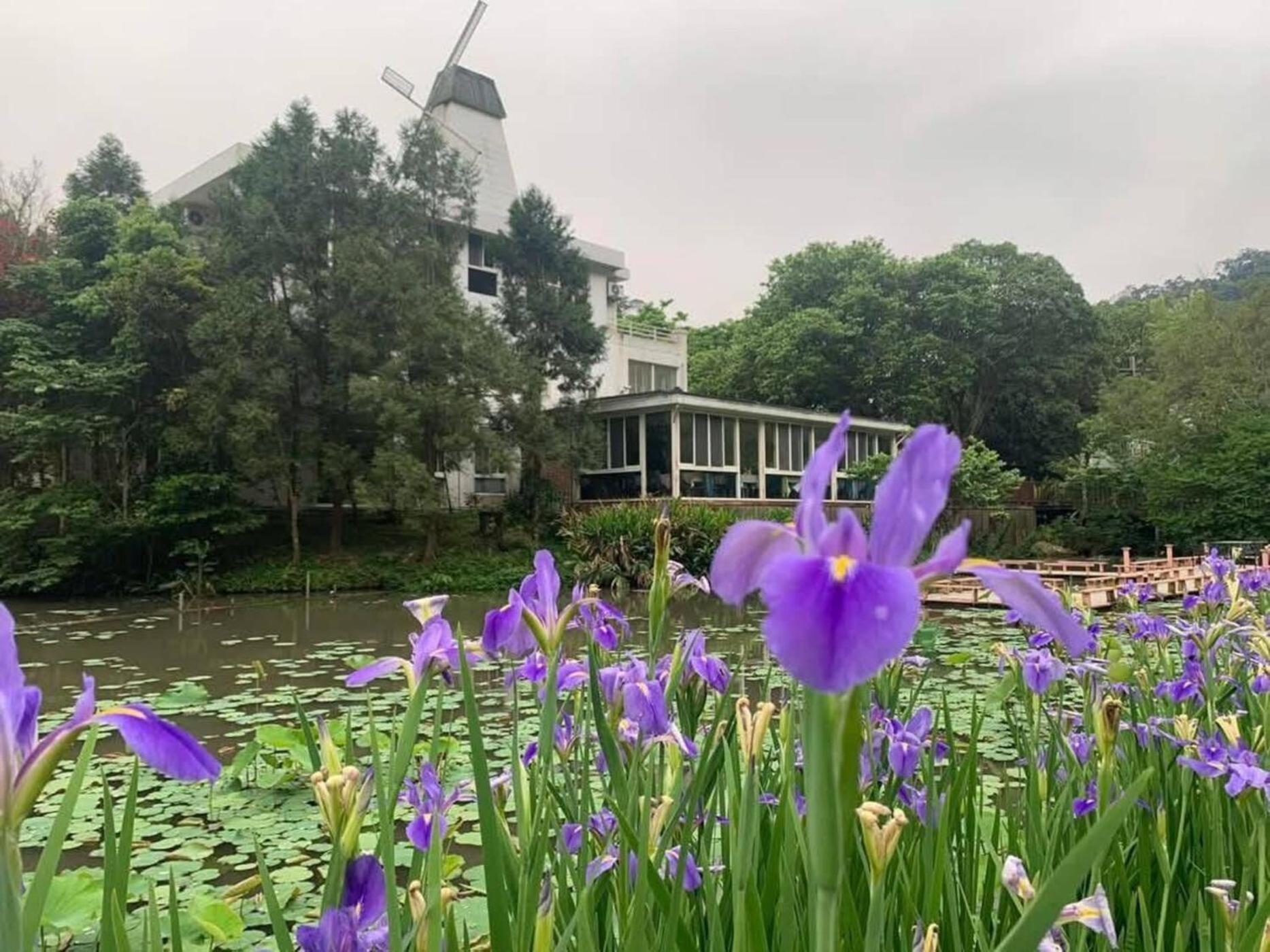 Lily Village Nanzhuang Eksteriør bilde